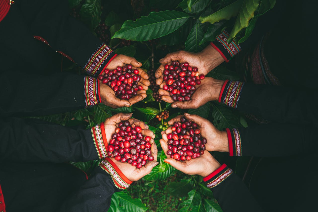 Capture the rich aroma of Buon Ma Thuot’s coffee capital